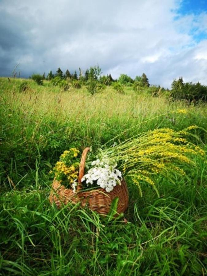 Ubytovanie Pod Homolkou Jamník Esterno foto